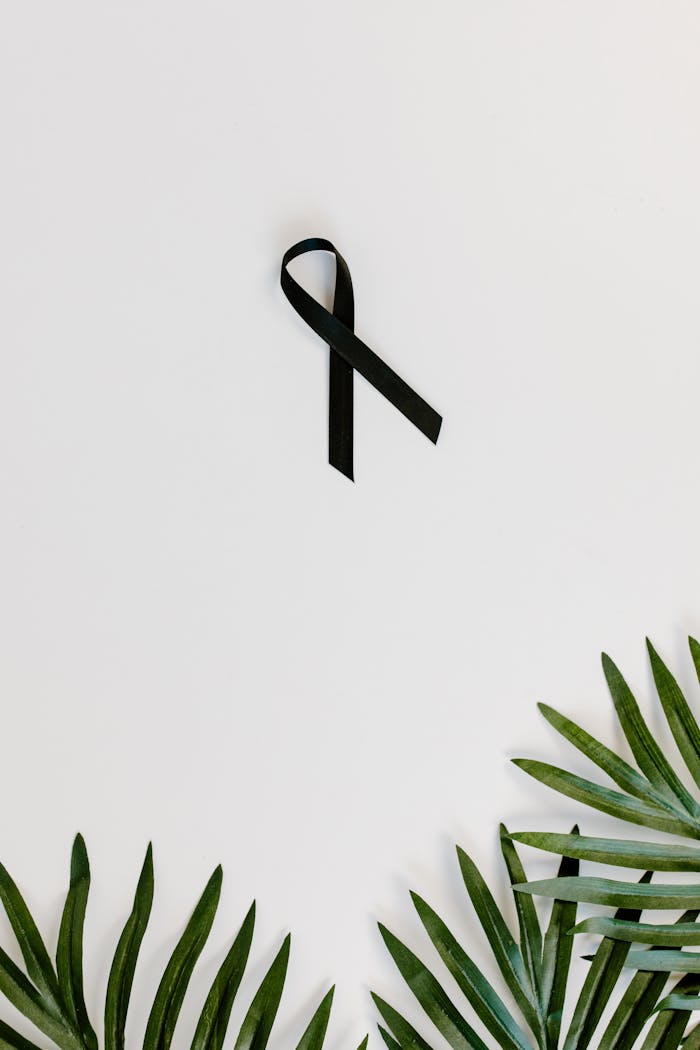 Minimalist image of black ribbon and green leaves symbolizing awareness or mourning.