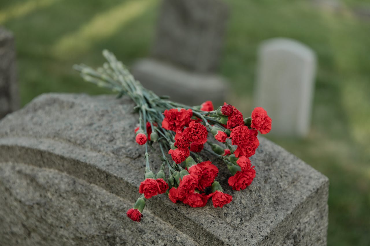 Red carnations resting on a tombstone with blurred gravestones in a peaceful cemetery.